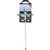 Bgs Technic Atsuktuvas su slankiojančia T formos rankena | T-Star (Torx) | T20 (6093)