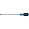 Bgs Technic Atsuktuvas | T-Star ("Torx") T25 | ilgas tipas | 250 mm (4946)