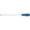 Bgs Technic Atsuktuvas | T-Star (Torx) T20 | ilgas tipas | 250 mm (74543B)
