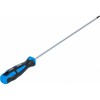 Bgs Technic Atsuktuvas | T-Star (Torx) T20 | ilgas tipas | 250 mm (74543B)