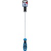 Bgs Technic Atsuktuvas | T-Star (Torx) T20 | ilgas tipas | 250 mm (74543B)