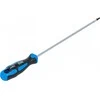 Bgs Technic Atsuktuvas | T-Star (Torx) T25 | ilgas tipas | 250 mm (74544)