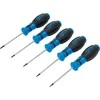 Bgs Technic Atsuktuvų rinkinys | T-Star su skyle (Torx) | T6 - T10 | 5 vnt. (6826)