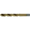 Bgs Technic Grąžtas metalui HSS-G 10.0 mm (2040-10)