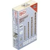 Grąžtas Bgs Technic Grąžtų rinkinys | HSS | kairiniai | 4 vnt. (2726)