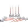 Bgs Technic Kaklelių čiurkšlei rinkinys specialiems klijams 10g | 10 vnt. (80603-1)