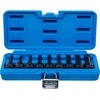 Bgs Technic Smūginiai antgaliai | 12,5 mm (1/2") | T-Star (Torx) T20 - T70 | 9 vnt (5480)