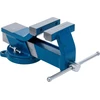 Bgs Technic Spaustuvai plieniniai | grūdinti | 100 mm lūpos (58110)