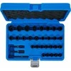 Bgs Technic Specialus galvučių ir sraigtinių ištraukiklių rinkinys | 6.3 mm (1/4") / 10 mm (3/8") | 32 vnt. (74560)