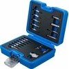 Bgs Technic Varžtų ištraukimo rinkinys | vidiniam šešiakampiui 1,5 - 10 mm / T-Star (Torx) | T10 - T55 | 19 vnt. (9173-1)