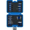 Bgs Technic Varžtų ištraukimo rinkinys | vidiniam šešiakampiui 1,5 - 10 mm / T-Star (Torx) | T10 - T55 | 19 vnt. (9173-1)