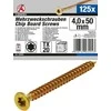 Bgs Technic Daugiafunkciniai varžtai | T-Star (Torx) T20 | 4,0 x 50 mm | 125 vnt. (80995)