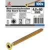 Bgs Technic Daugiafunkciniai varžtai | T-Star (Torx) T20 | 4,0 x 60 mm | 100 vnt. (80996)