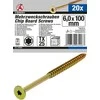 Bgs Technic Daugiafunkciniai varžtai | T-Star (Torx) T25 | 6,0 x 100 mm | 20 vnt. (80999)