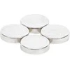 Bgs Technic Magnetų rinkinys | ypač stiprūs | Ø 12 mm | 4 vnt. (79909)