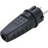 Bgs Technic Pramoninis kištukas | 16 A / 250 V (80761)