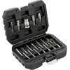 Yato Toya Sa Poland Antgalių rinkinys | sugadintiems T-Star (Torx) ir Hex | 19 vnt. (YT-04584)