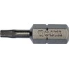 Yato Toya Sa Poland Antgalių rinkinys | 6.3 mm (1/4") | T-star (Torx) T10 | S2 | 10 vnt.(YT-78141)