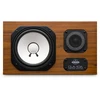Avantone CLA-10 - Pasyvūs studijiniai monitoriai
