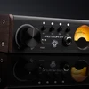 Black Lion Audio Juodas Lion Auteur DT – išankstinis mikrofonas