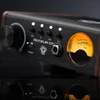 Black Lion Audio Juodas Lion Auteur DT – išankstinis mikrofonas