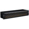 Black Lion Audio Juodas Lion PBR XLR 32 DSub – Krosownica XLR DB25