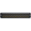 Black Lion Audio Juodas Lion PBR XLR 32 DSub – Krosownica XLR DB25