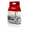 CANON PGI-9gr ink pilkas for PIXMA Pro9500