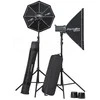 Elinchrom studijos blykstės rinkinys D-Lite RX 4/4 To Go (20839)