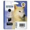 Epson T096 Photo Juodas Cartridge Epson