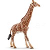 Schleich Žirafos patinas