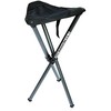 Walkstool Basic 60