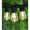 Schneider Electric Visional 03-628 rindas LED Dārza virtene ar 10 ligzdām / 10m / solis 1m (bez spuldzēm) melna