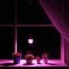 Visional LEMPA LED E27 12W AUGALAMS