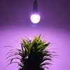 Visional LEMPA LED E27 12W AUGALAMS