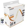 Avide LED COB juosta 16W 24V 4000K su pultu, 2m