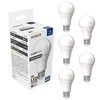 Avide LED lemputė 12W E27 6400K 5vnt