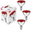 Infraraudonųjų spindulių lempa Avide 100W R95 E27 3vnt