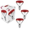 Infraraudonųjų spindulių lempa Avide 250W E27 3vnt