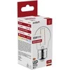 LED lemputė 2.5W G45 E27 FL AVIDE