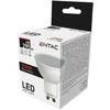 LED lemputė Entac 4W GU10 3000K