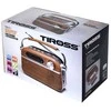 TIROSS Radijas PORTABLE Įkraunamas USB / Bluetooth