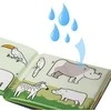 AKUKU edukacinė minkšta knygelė MAGIC BOOK, 10 psl., A0657