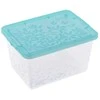 BRANQ 2L plastikinė dėžė su dangčiu JASMINE, žalia