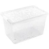 BRANQ 55L plastikinė dėžė su ratukais Jasmine (skaidri)