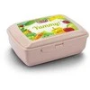 BRANQ priešpiečių dėžutė su šaldymo elementu YUMMY, 1,3l