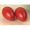 COMMOTION barškučiai EGG, 2 vnt.