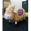LITTLE BIRD TOLD ME paspiriama karvytė HUBERT HIGHLAND COW