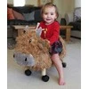 LITTLE BIRD TOLD ME paspiriama karvytė HUBERT HIGHLAND COW