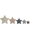 MUSHIE statymo indeliai STARS